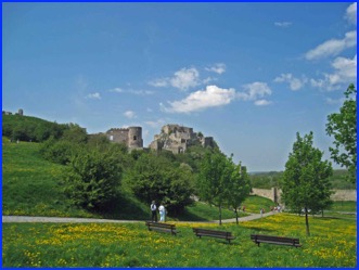 devin castle blue sky yellow flower