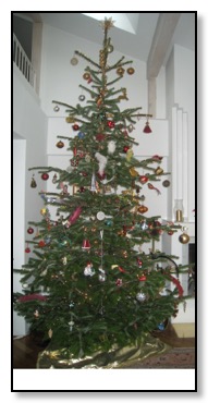 2010 xmas tree