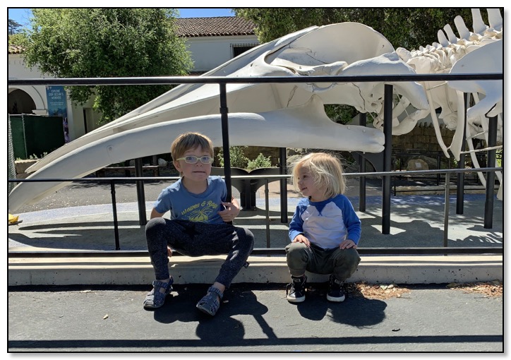 Arrow and Tiger at Museum March 2019