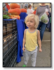 Arrow at market November 2019