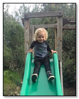 Arrow on the slide at TALA Jan 2019