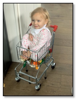 Azelle in shopping basket March 2020