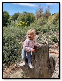 azelle on tree May 15 2021