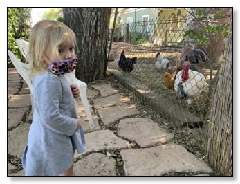 azelle with turkey