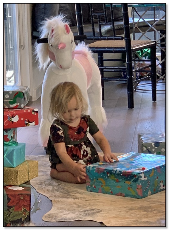 Azelle with unicorn Dec 2020