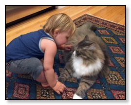 Baby and Cat