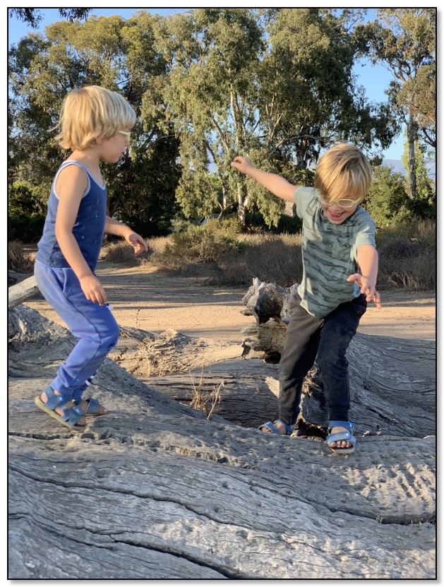 balance on the logs Douglas July 2020