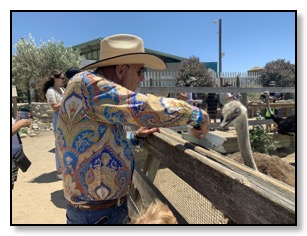 Dan feeding the ostrich June 2021