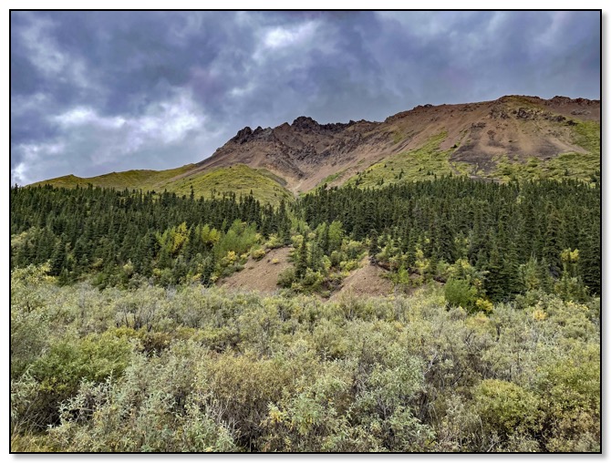 Denali Park with Caribu far far away