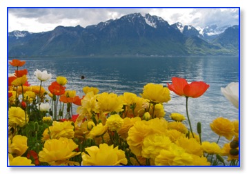 flowers and lake geneva