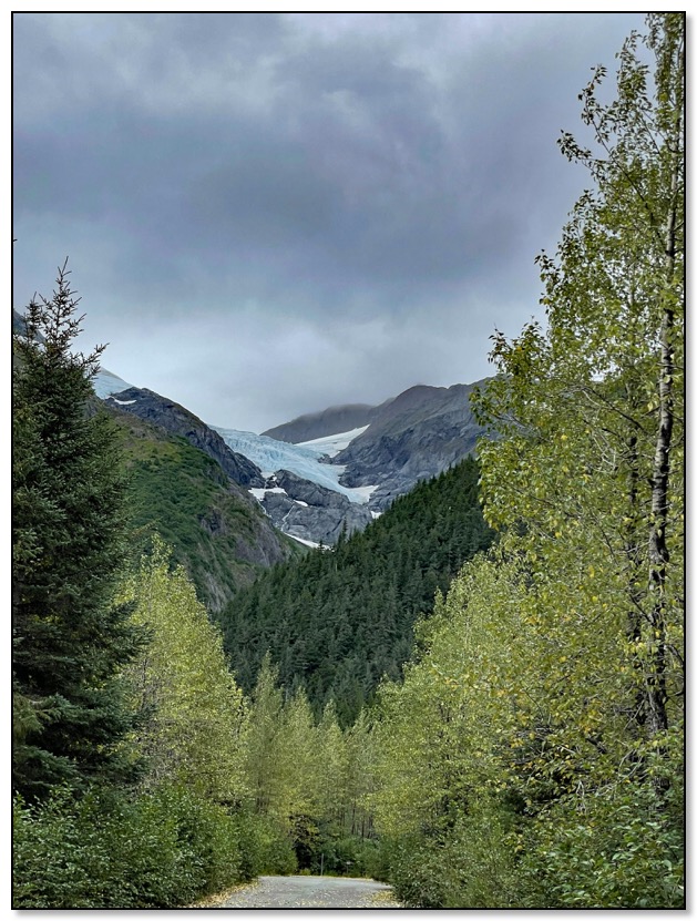 glacier through the trees