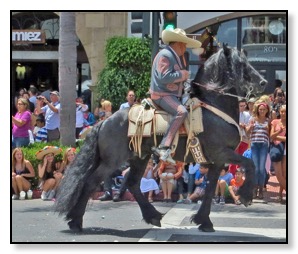 horse parade