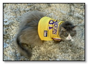 Monster in lakers gear