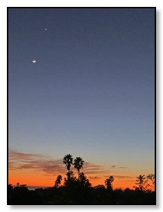 Moon and Venus Feb 2020