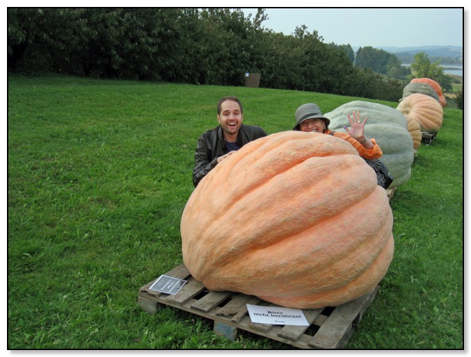 naz and dar with big pumpkins
