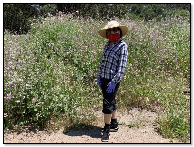 nazy and the wildflowers masked April 2020