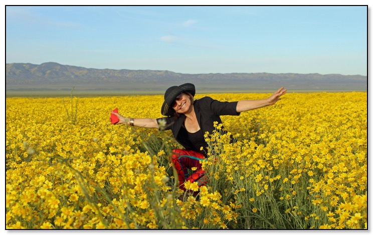 nazy in field of yellow