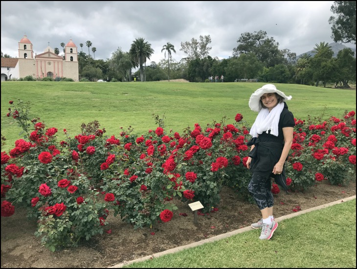 nazy mission park rose garden May 2018.jpg 
