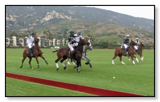POLO 3