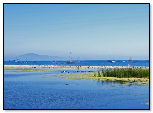 santa barbara harbor