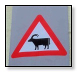 sign caution elk
