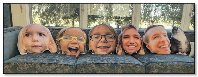 The adams family pillows Dec 2020