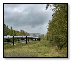 The Alaka Pipeline