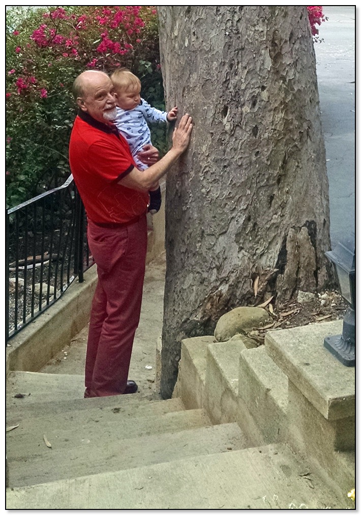 The tree and goodbye