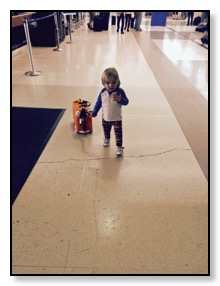 Tiger and trunky walking to airplane to Hawaii May 2016