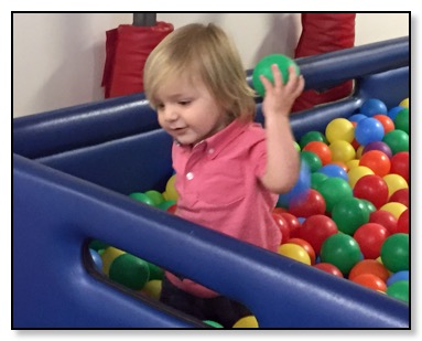 Tiger at my gym Feb 2016 with balls