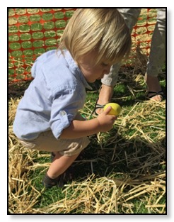 Tiger finding Easter egg