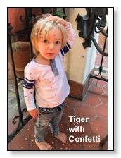 Tiger for TWL