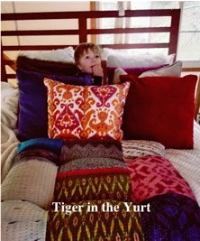 Tiger in the Yurt for web