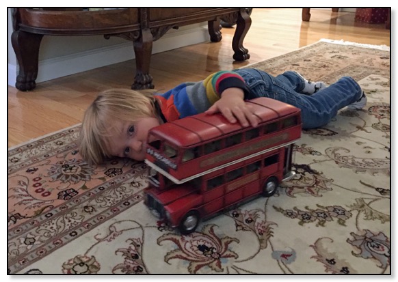 Tiger looking at double decker bus