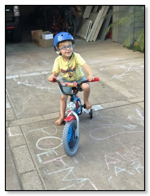 Tiger on Bicycle August 31 2018