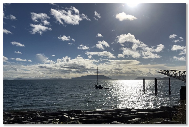 try one lummi island