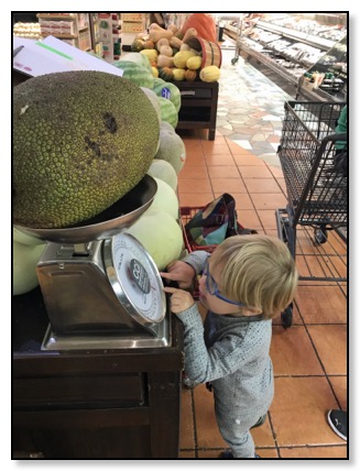 weighting jack fruit