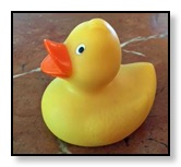 yellow duckie 1